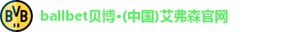 Bb艾弗森
